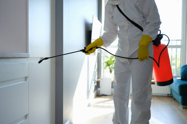 Best Mold Testing  in Andover, KS