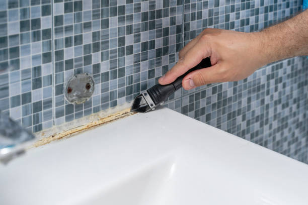 Andover, KS Mold Removal Company